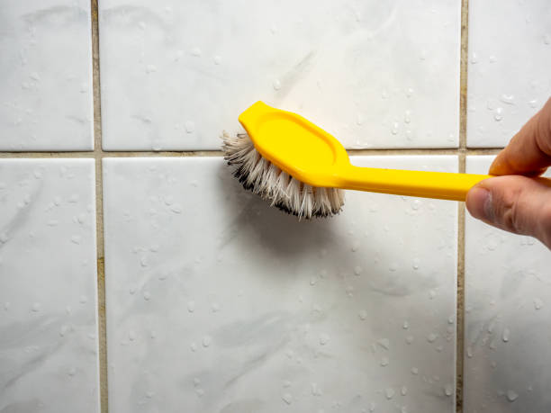 Best Localized Mold Remediation (e.g., coastal areas, humid climates) in Three Oaks, FL