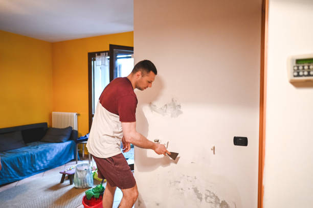 Best Health and Safety Mold Remediation in Three Oaks, FL